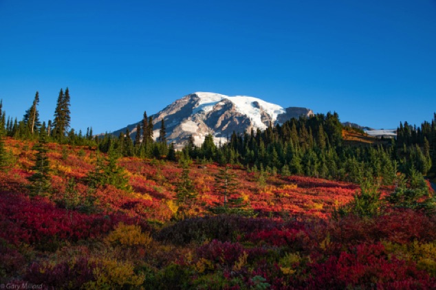 Mt. Rainier
Autumn (Sept 28, 2018)
Washington State